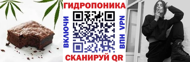 Canna-Cookies конопля  купить закладку  это состав  Мураши 