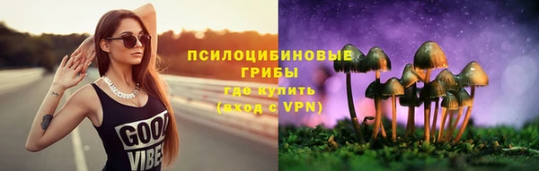 трава Арсеньев