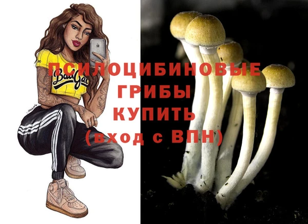 не бодяженный Горняк