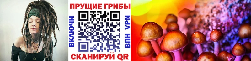 Галлюциногенные грибы GOLDEN TEACHER  кракен ССЫЛКА  Мураши 